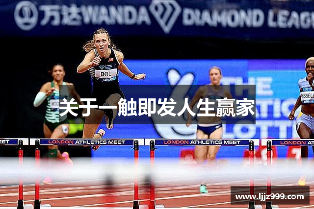 关于一触即发人生赢家